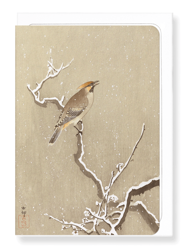 Ezen Designs - Waxwing bird on snowy branch - Greeting Card - Front