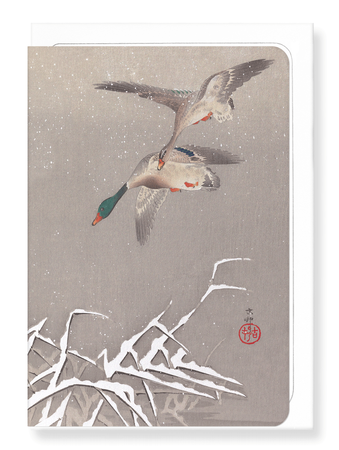Ezen Designs - Two Mallards Ducks in Flight - Greeting Card - Front