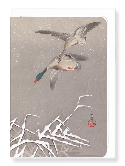 Ezen Designs - Two Mallards Ducks in Flight - Greeting Card - Front