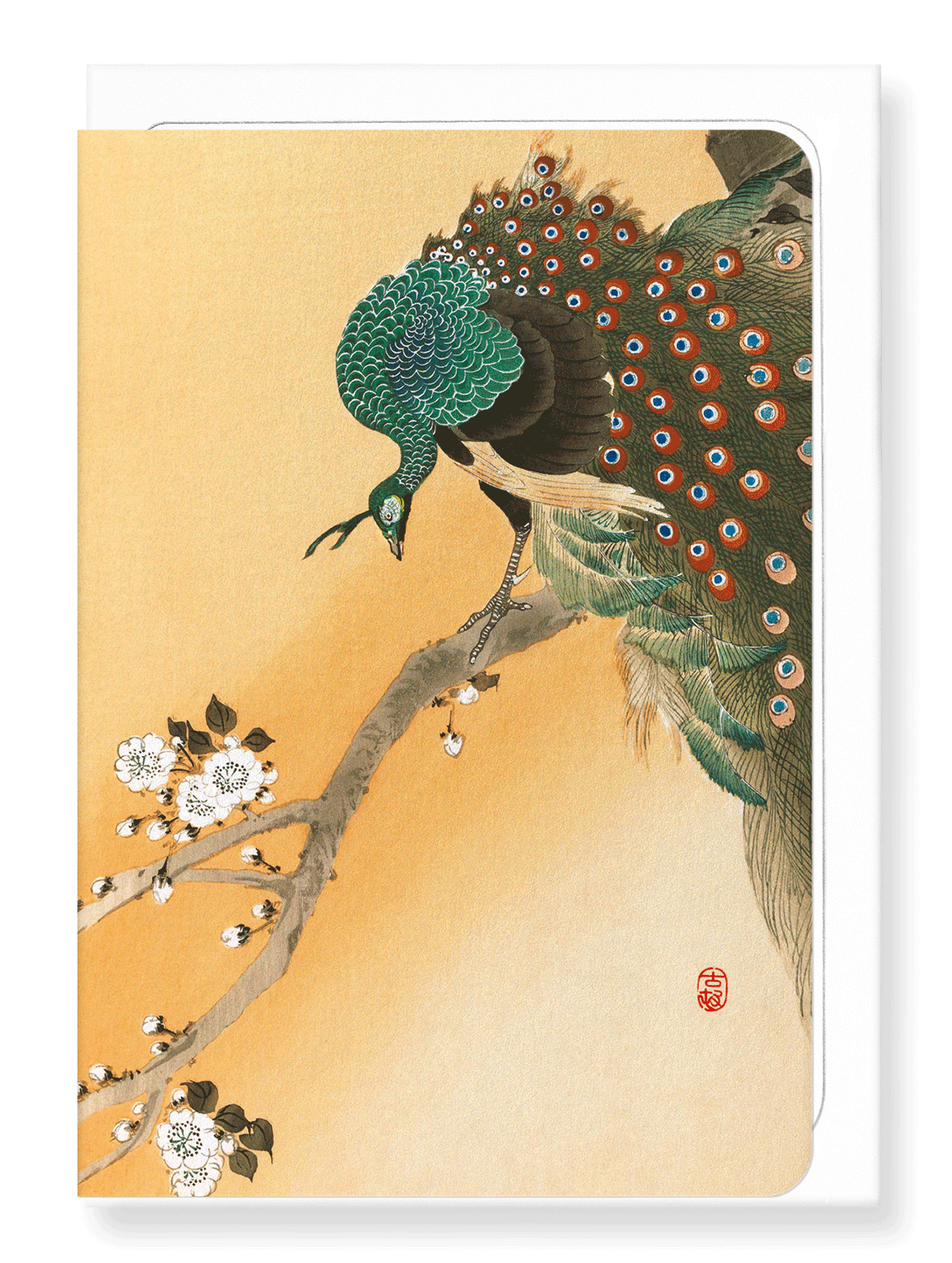 Ezen Designs - Peacock on cherry blossoms - Greeting Card - Front