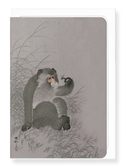 Ezen Designs - Monkey with insect (TEST) - Greeting Card - Front