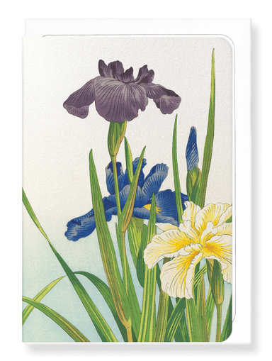 Ezen Designs - Three iris flowers (1937) - Greeting Card - Front