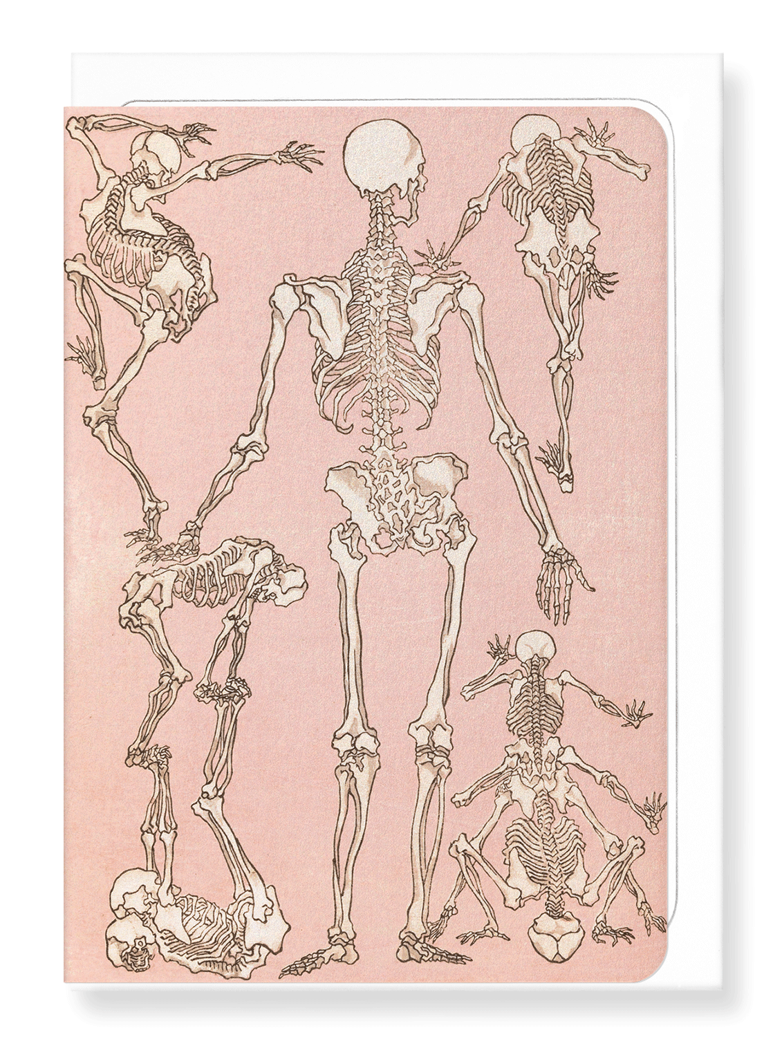 Ezen Designs - Study of Skeletons Back (1881) - Greeting Card - Front