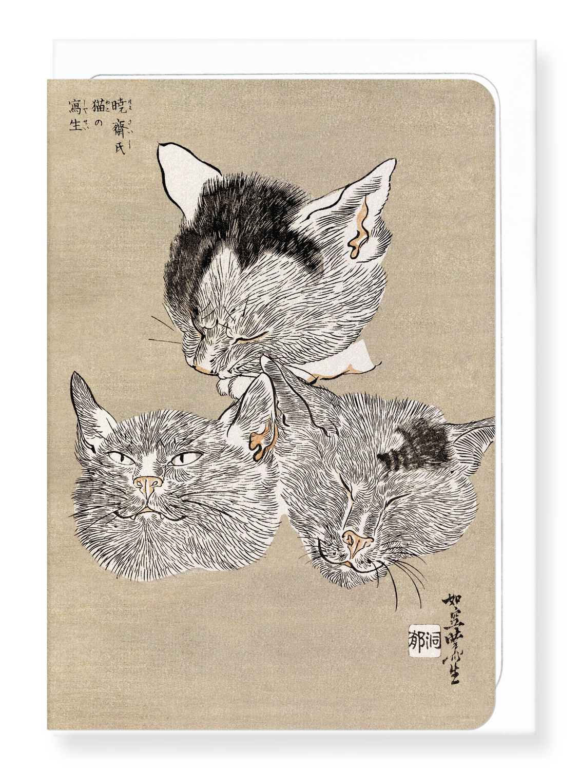 Ezen Designs - Three Cat Heads (c.1880) - Greeting Card - Front