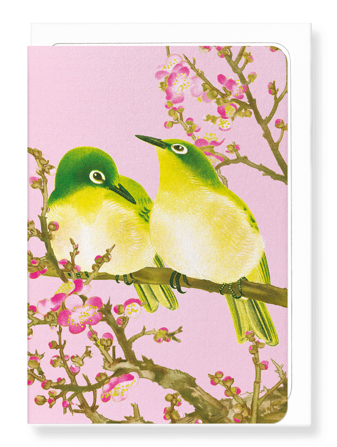 Ezen Designs - Warbling white-eye with Plum blossoms (c.1930) - Greeting Card - Front