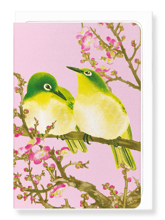 Ezen Designs - Warbling white-eye with Plum blossoms (c.1930) - Greeting Card - Front