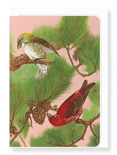 Ezen Designs - Common Crossbill Birds on Pine tree (c.1930) - Greeting Card - Front