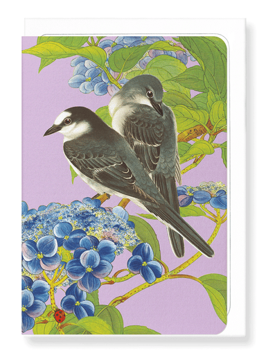Ezen Designs - Ashy Minivet birds with Hydrangea (c.1930) - Greeting Card - Front