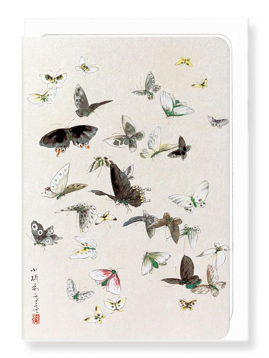Ezen Designs - Butterlflies and Moths (1830-1850) - Greeting Card - Front
