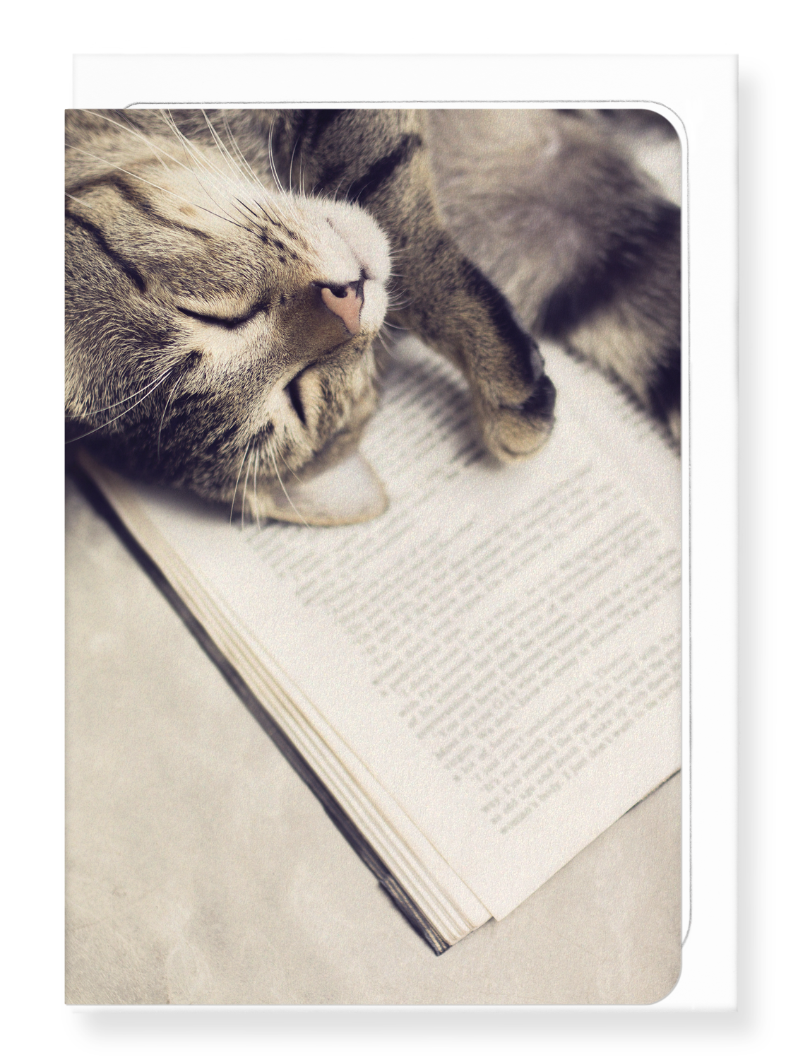 Ezen Designs - Cat and book - Greeting Card - Front