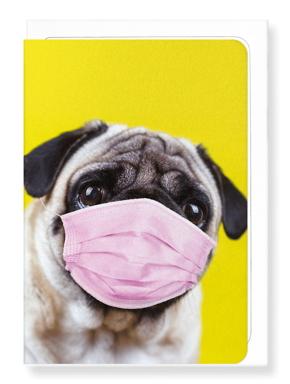 Ezen Designs - Pug mask - Greeting Card - Front