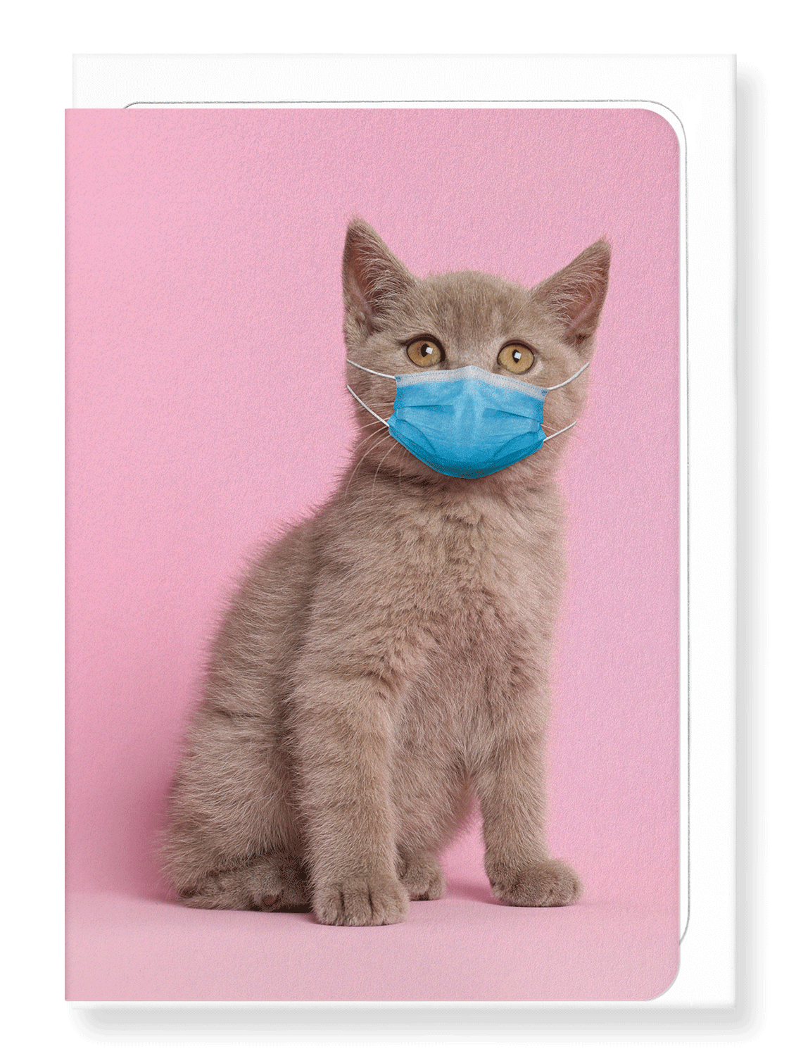 Ezen Designs - Kitten with mask - Greeting Card - Front