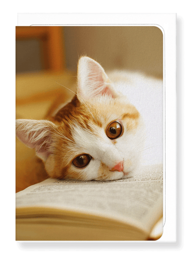 Ezen Designs - Ginger cat and book - Greeting Card - Front
