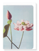 Ezen Designs - Photomechanical Print of Lotus Flowers (c.1890) - Greeting Card - Front