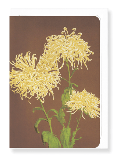 Ezen Designs - Photomechanical print of Chrysanthemums (c.1890) - Greeting Card - Front