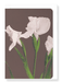 Ezen Designs - Photomechanical print of White Irises (c.1890) - Greeting Card - Front