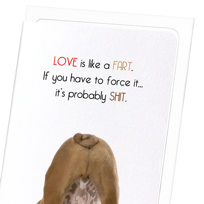 LOVE IS LIKE A FART: Funny Animal Greeting Card