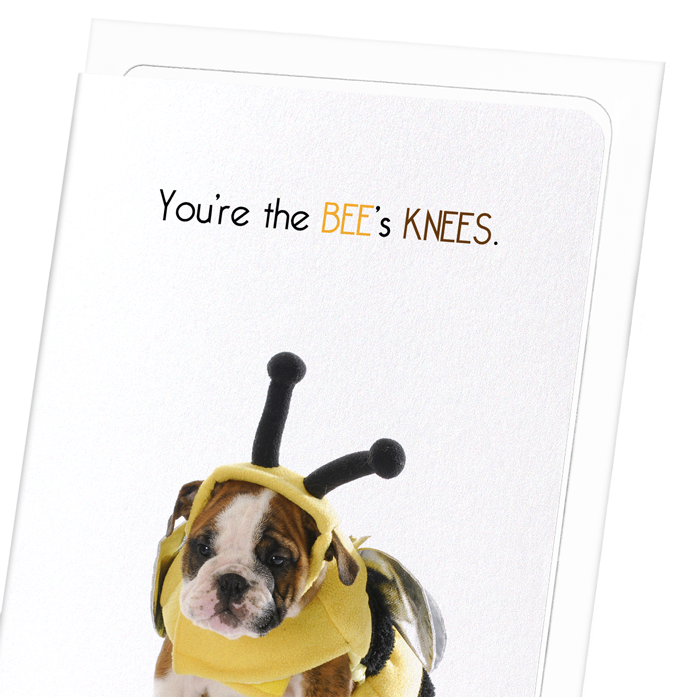THE BEE'S KNEES: Funny Animal Greeting Card