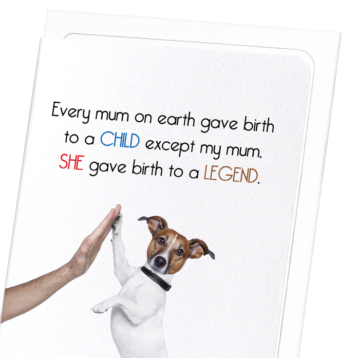 BIRTH OF A LEGEND: Funny Animal Greeting Card