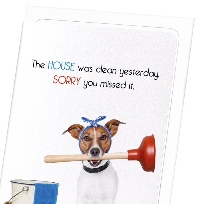 HOUSE CLEANING: Funny Animal Greeting Card