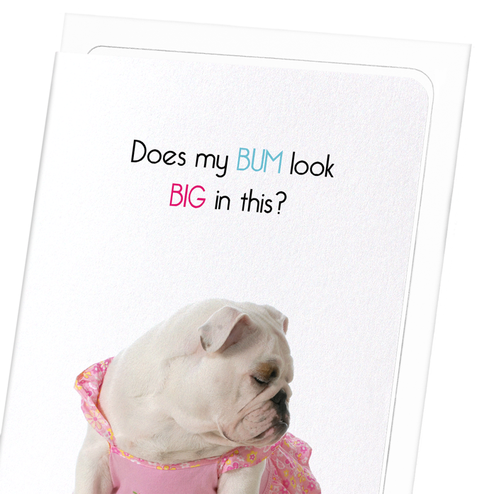BIG BUM: Funny Animal Greeting Card