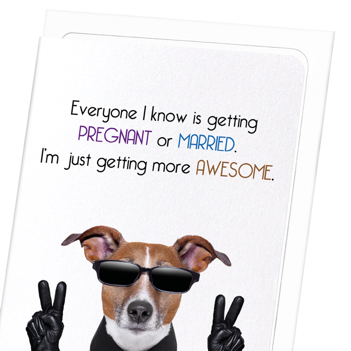 GETTING MORE AWESOME: Funny Animal Greeting Card