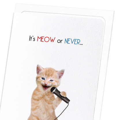 IT'S MEOW OR NEVER: Funny Animal Greeting Card
