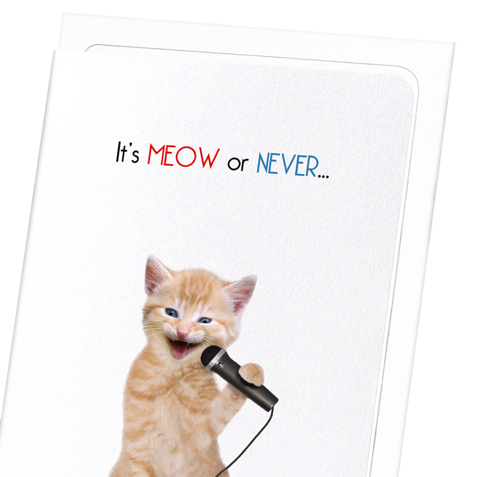 IT'S MEOW OR NEVER: Funny Animal Greeting Card