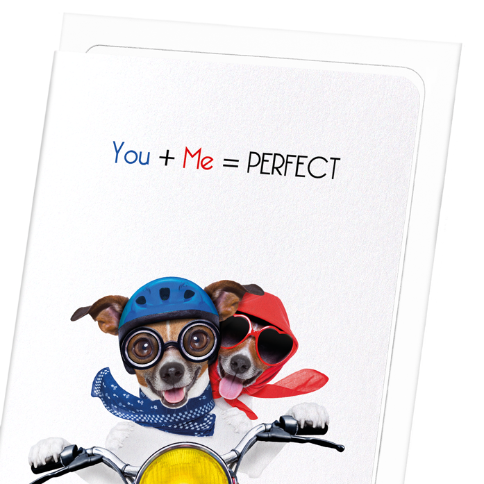 YOU + ME = PERFECT: Funny Animal Greeting Card