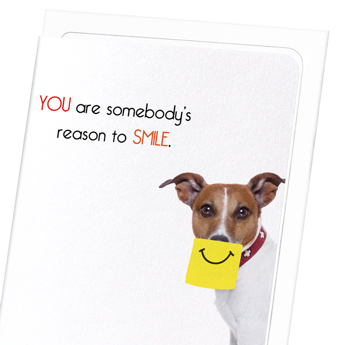 SOMEBODY'S REASON TO SMILE: Funny Animal Greeting Card