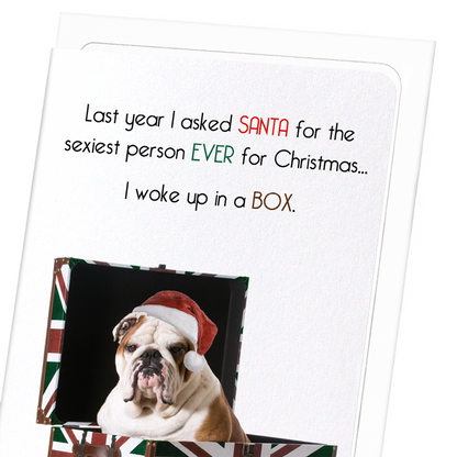 SEXIEST PERSON FOR XMAS: Funny Animal Greeting Card