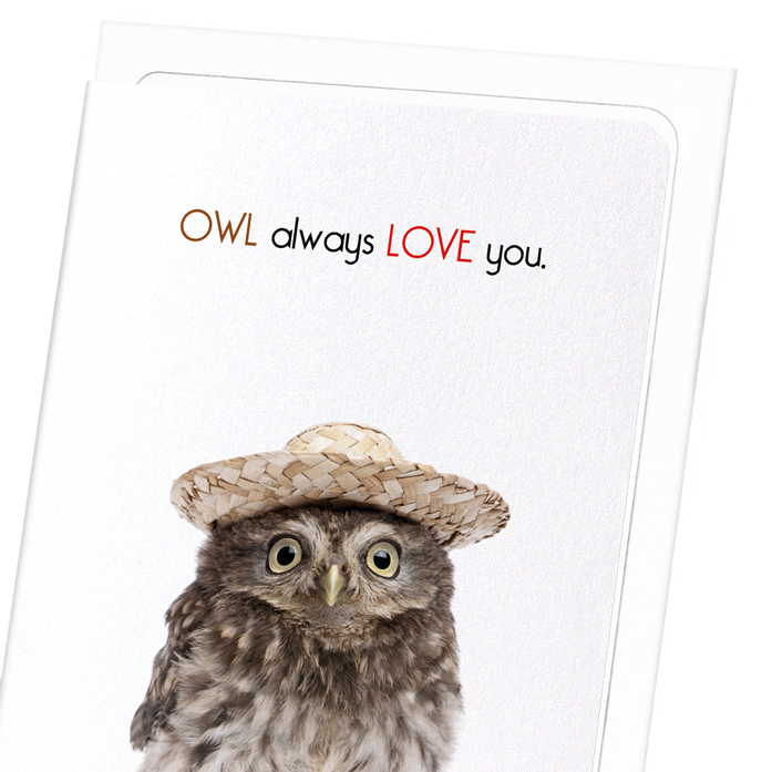 OWL ALWAYS LOVE YOU: Funny Animal Greeting Card