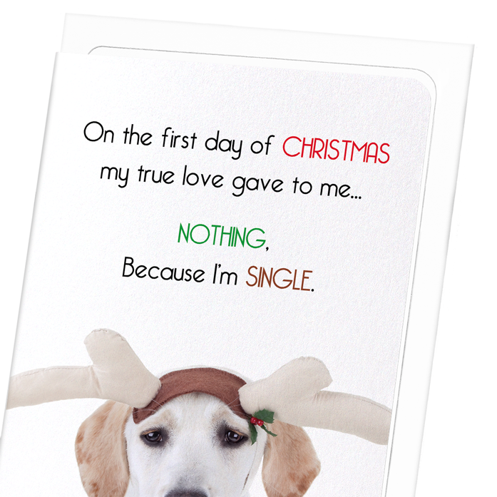 BECAUSE I'M SINGLE : Funny Animal Greeting Card
