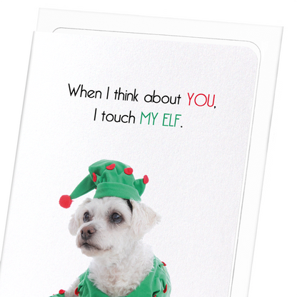 TOUCH MY ELF : Funny Animal Greeting Card