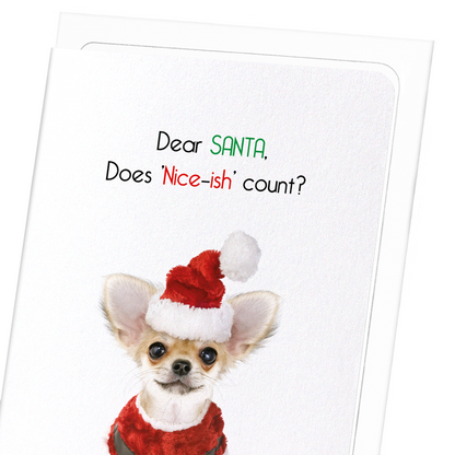 NICE-ISH COUNT?: Funny Animal Greeting Card
