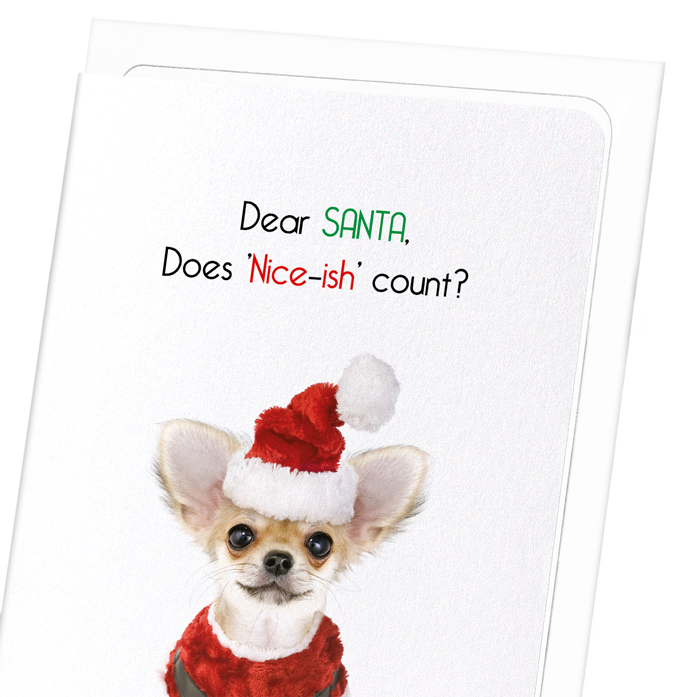 NICE-ISH COUNT?: Funny Animal Greeting Card