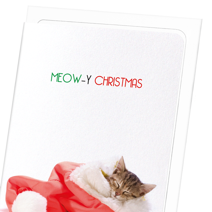 MEOWY CHRISTMAS : Funny Animal Greeting Card