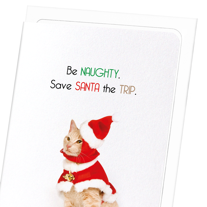 BE NAUGHTY: Funny Animal Greeting Card