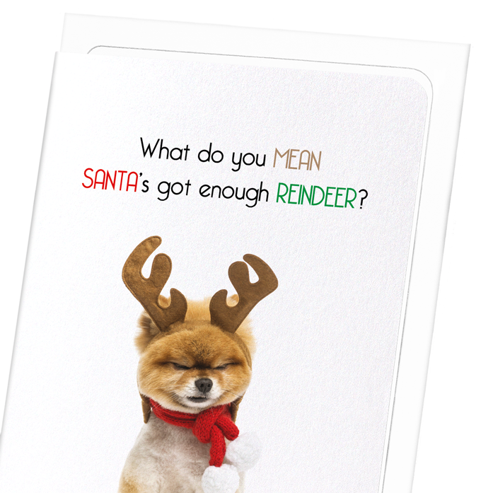 ENOUGH REINDEER : Funny Animal Greeting Card