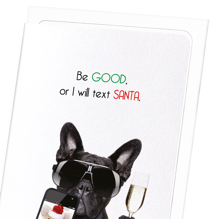 TEXT SANTA: Funny Animal Greeting Card