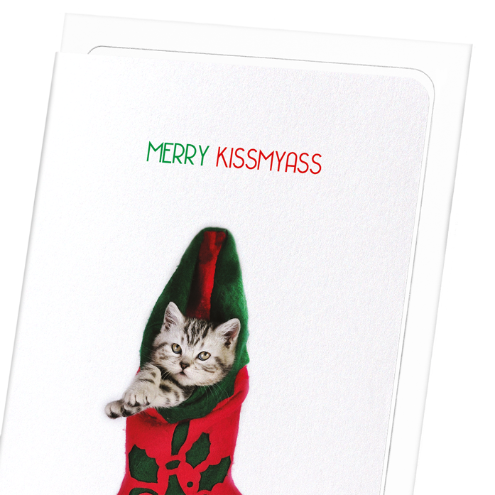 MERRY KISSMYASS: Funny Animal Greeting Card
