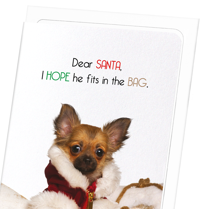 FIT IN SANTA'S BAG: Funny Animal Greeting Card