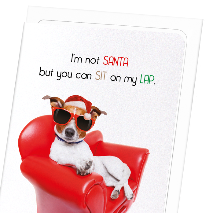 SIT ON MY LAP: Funny Animal Greeting Card