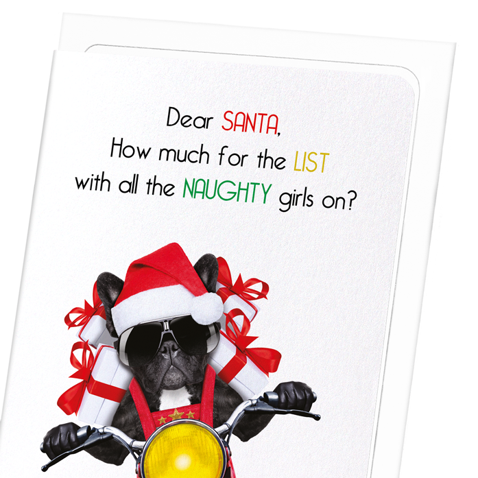 SANTA'S NAUGHTY LIST: Funny Animal Greeting Card