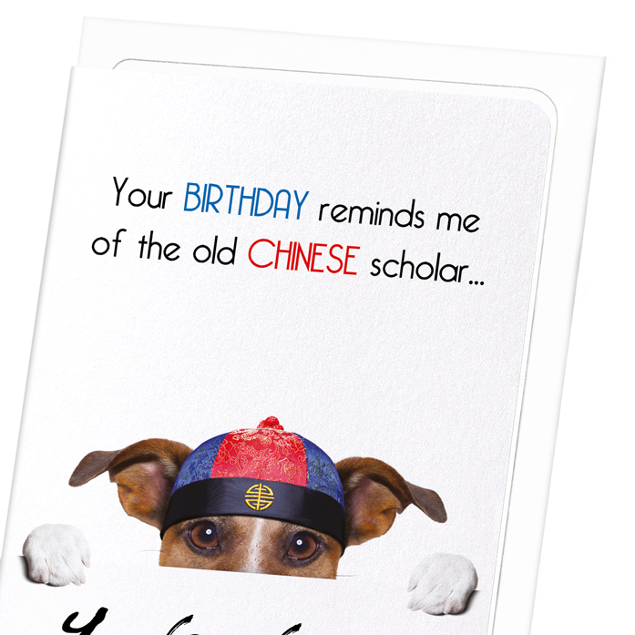 YUNG NO MO : Funny Animal Greeting Card