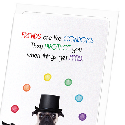 FRIENDS AND CONDOMS: Funny Animal Greeting Card