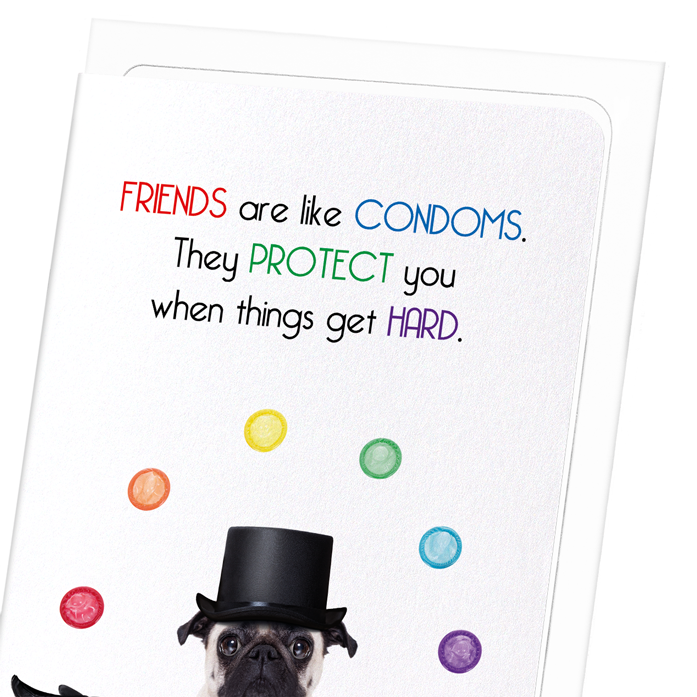 FRIENDS AND CONDOMS: Funny Animal Greeting Card