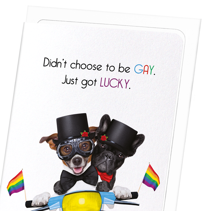LUCKY AND GAY: Funny Animal Greeting Card