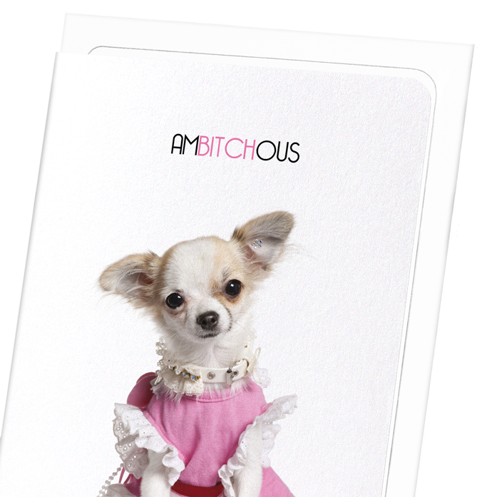 AMBITCHOUS: Funny Animal Greeting Card