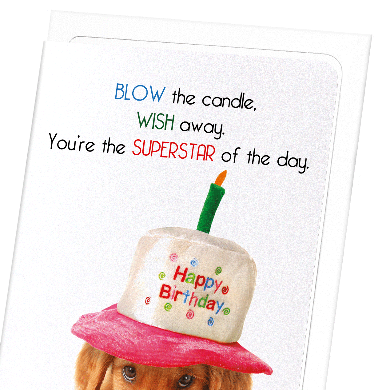 BLOW AND MAKE A WISH: Funny Animal Greeting Card